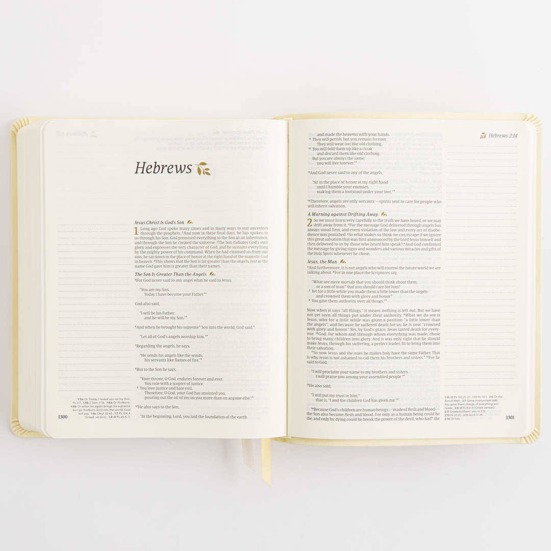 NLT Notetaking Bible - Leather-Like, Belfast