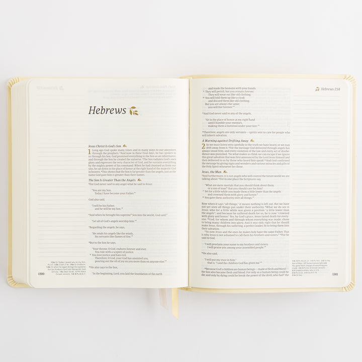 NLT Notetaking Bible - Leather-Like, Belfast