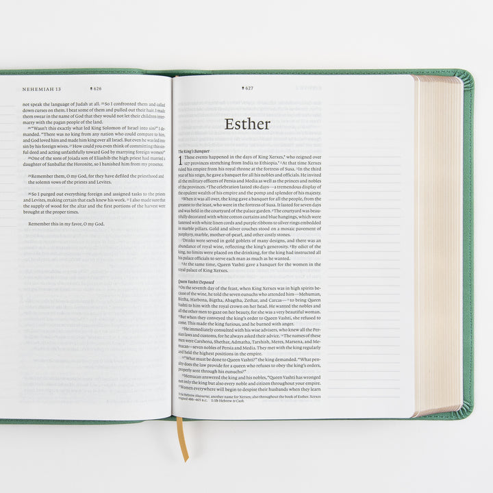 Open interior spread of the NLT Wide Margin Bible showing the end of Nehemiah 13 on the left page and the title page of Esther with the start of chapter 1 on the right, both bordered by wide blank ruled margins for handwritten notes.