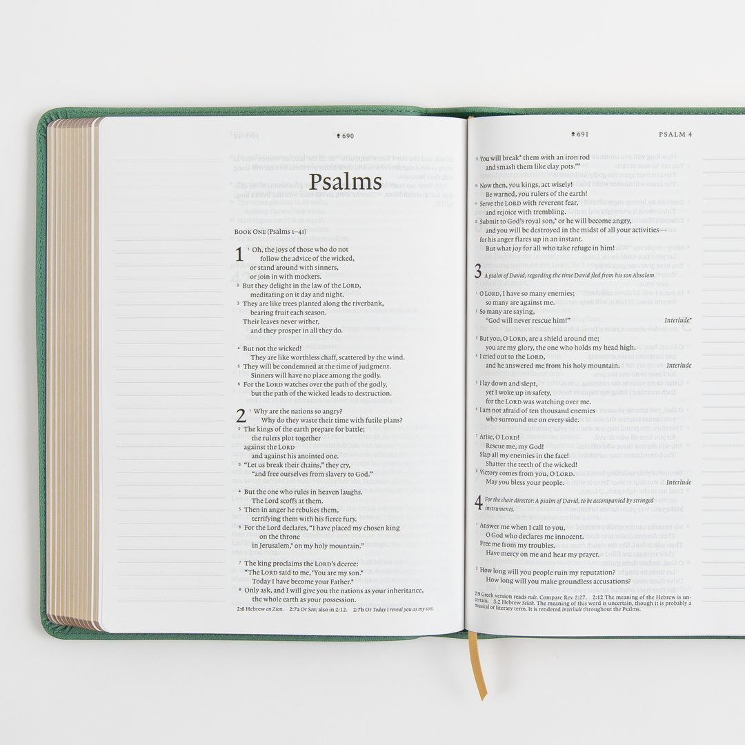 Open interior spread of the NLT Wide Margin Bible showing the Psalms book title page introducing Book One with Psalms 1-2 on the left page and Psalms 3-4 on the right, flanked by wide blank ruled margins for handwritten notes.