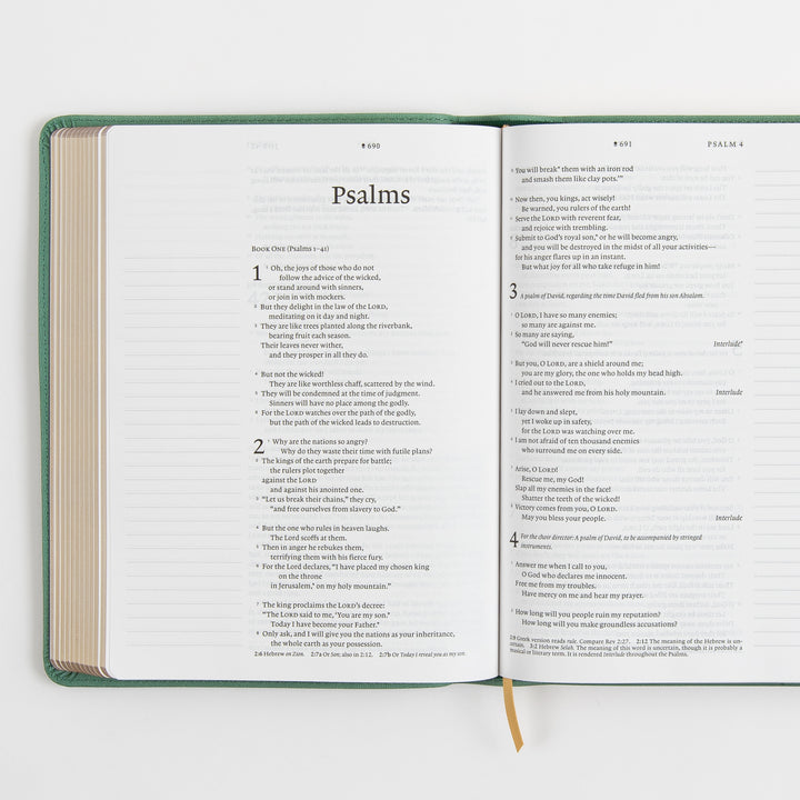 Open interior spread of the NLT Wide Margin Bible showing the Psalms book title page introducing Book One with Psalms 1-2 on the left page and Psalms 3-4 on the right, flanked by wide blank ruled margins for handwritten notes.