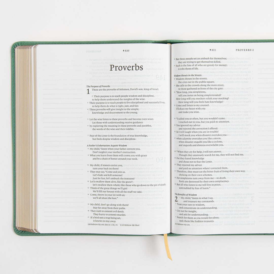 Open interior spread of the NLT Wide Margin Bible showing the Proverbs book title page with chapter 1 on the left page and Proverbs 2 on the right, flanked by wide blank ruled margins for handwritten notes.