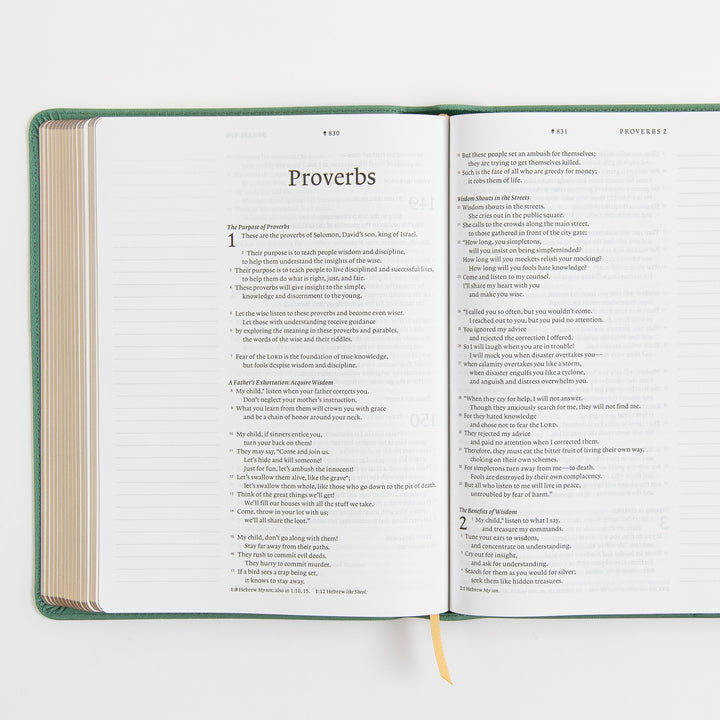 Open interior spread of the NLT Wide Margin Bible showing the Proverbs book title page with chapter 1 on the left page and Proverbs 2 on the right, flanked by wide blank ruled margins for handwritten notes.