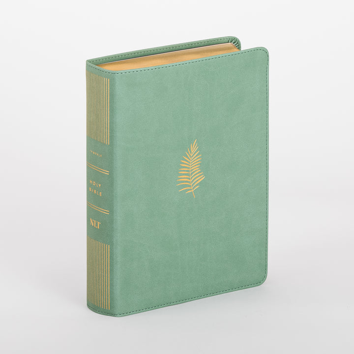 Three-quarter angled view of a closed NLT Wide Margin Bible with a sage green leatherlike cover, showing a gold foil palm frond stamped on the front and gold lettering reading HOLY BIBLE NLT on the spine, with gilded page edges.