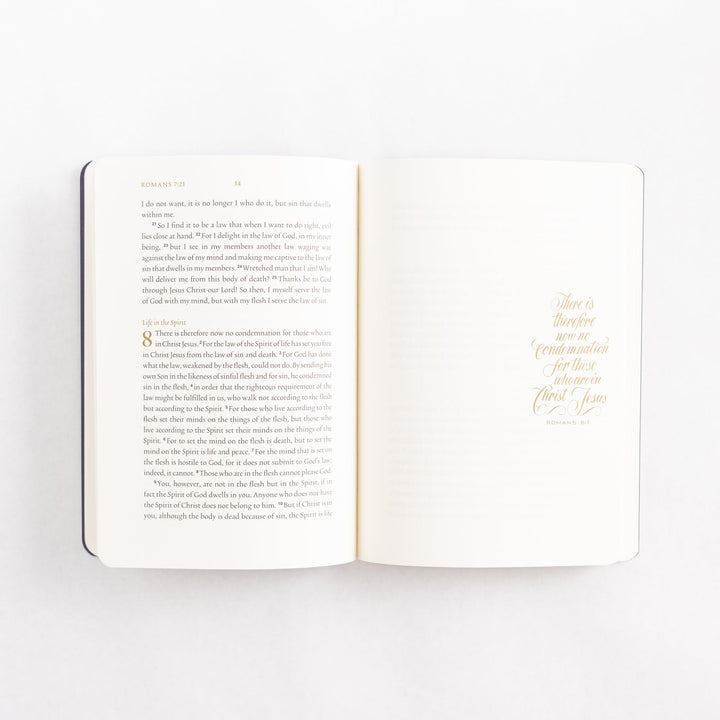 ESV Illuminated Scripture Journal: Romans