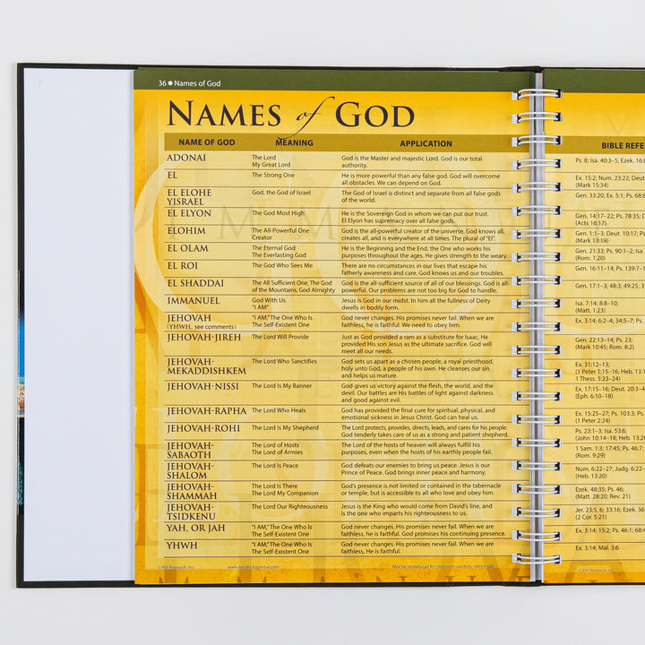 Rose Book of Bible Charts, Maps and Time Lines