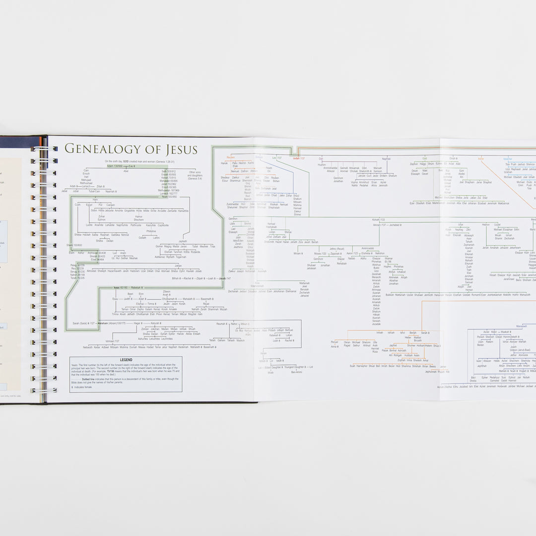 Rose Book of Bible Charts, Maps and Time Lines