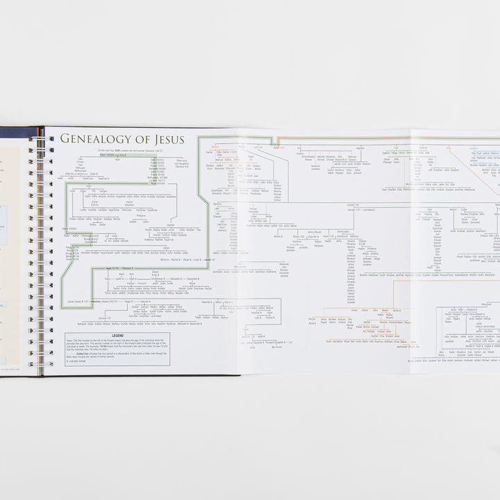 Rose Book of Bible Charts, Maps and Time Lines