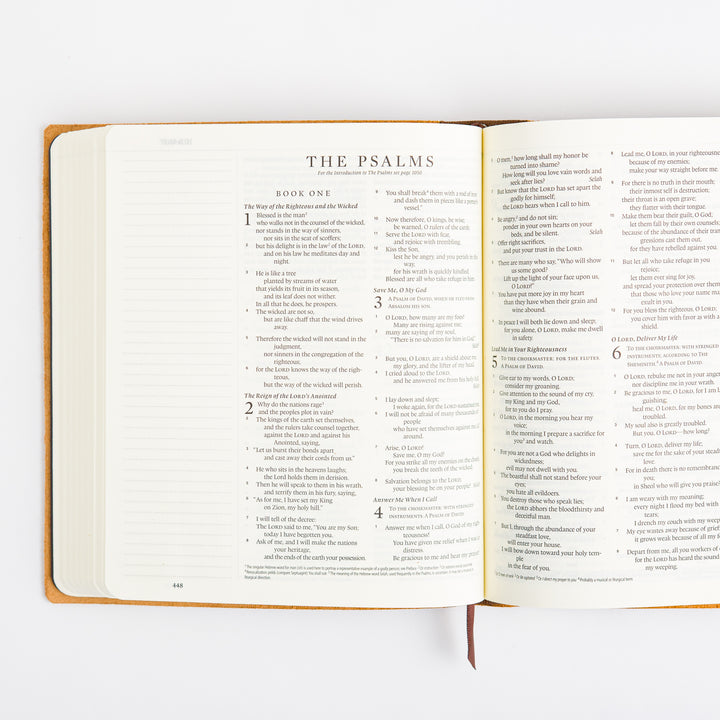 ESV Journaling Bible - Brown - Natural Leather - Flap with Strap