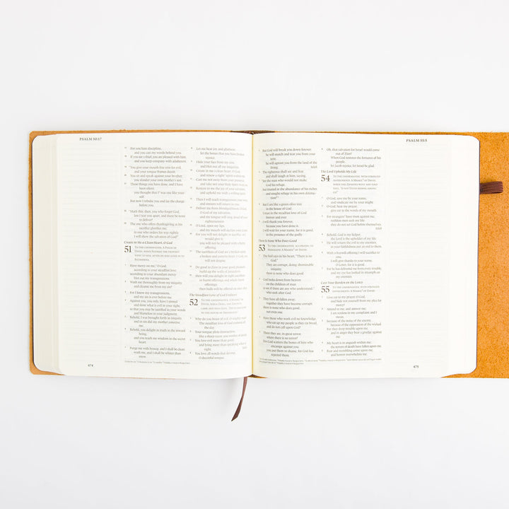 ESV Journaling Bible - Brown - Natural Leather - Flap with Strap