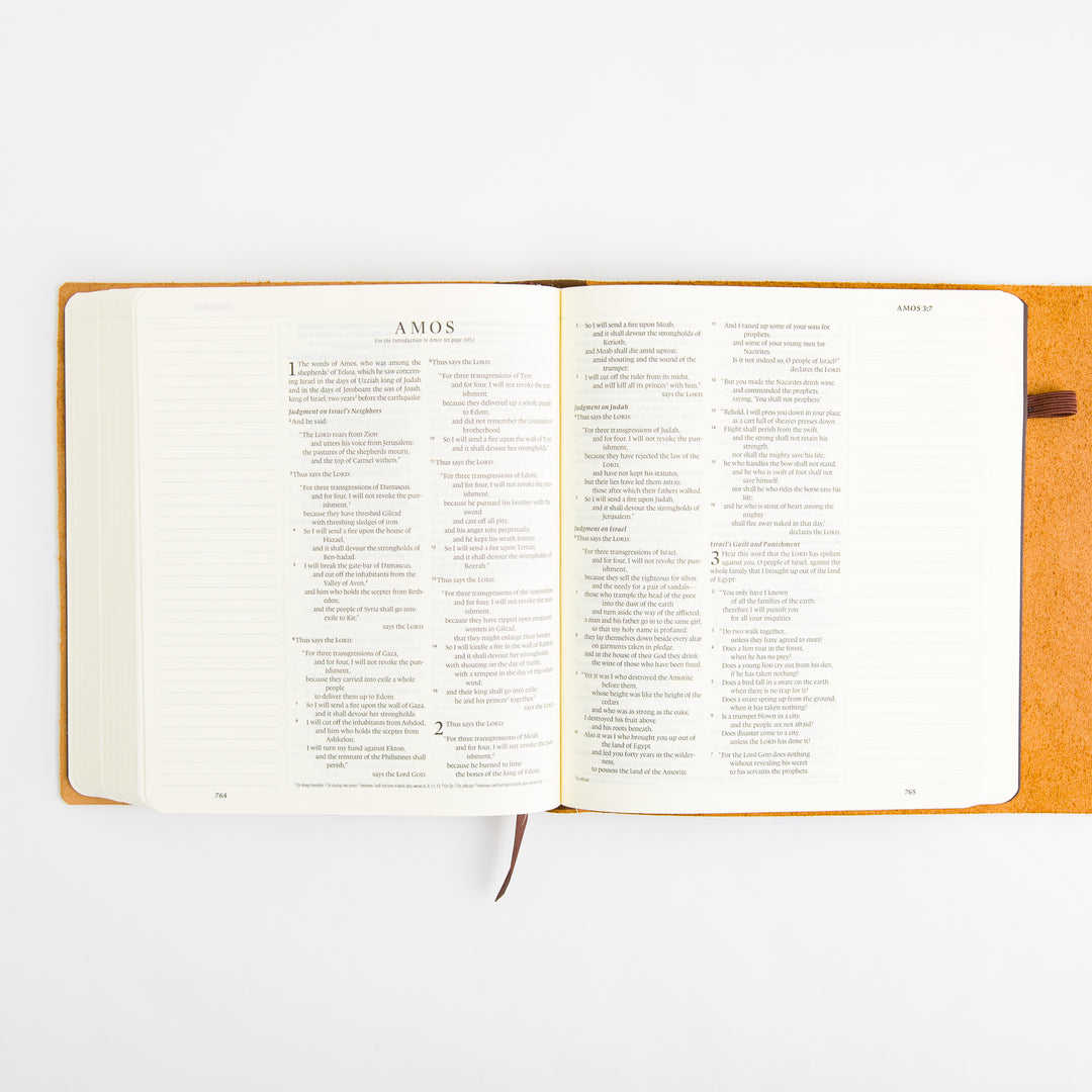 ESV Journaling Bible - Brown - Natural Leather - Flap with Strap
