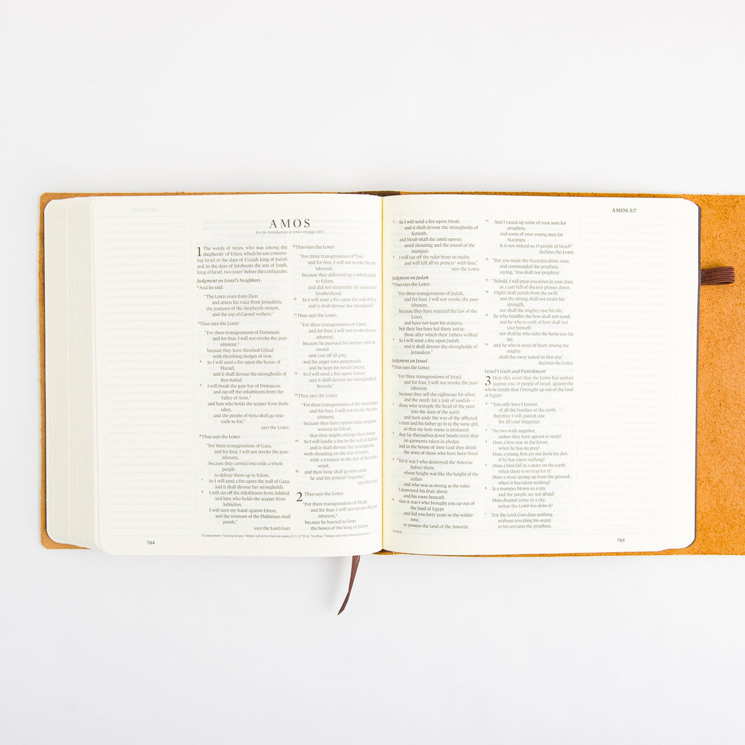 ESV Journaling Bible - Brown - Natural Leather - Flap with Strap