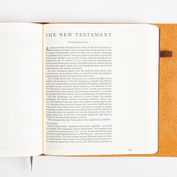 ESV Journaling Bible - Brown - Natural Leather - Flap with Strap