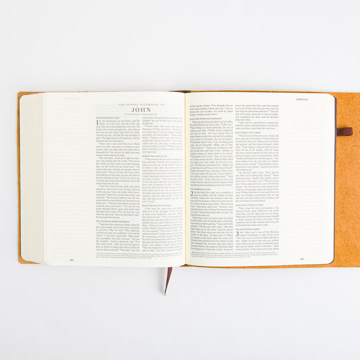 ESV Journaling Bible - Brown - Natural Leather - Flap with Strap