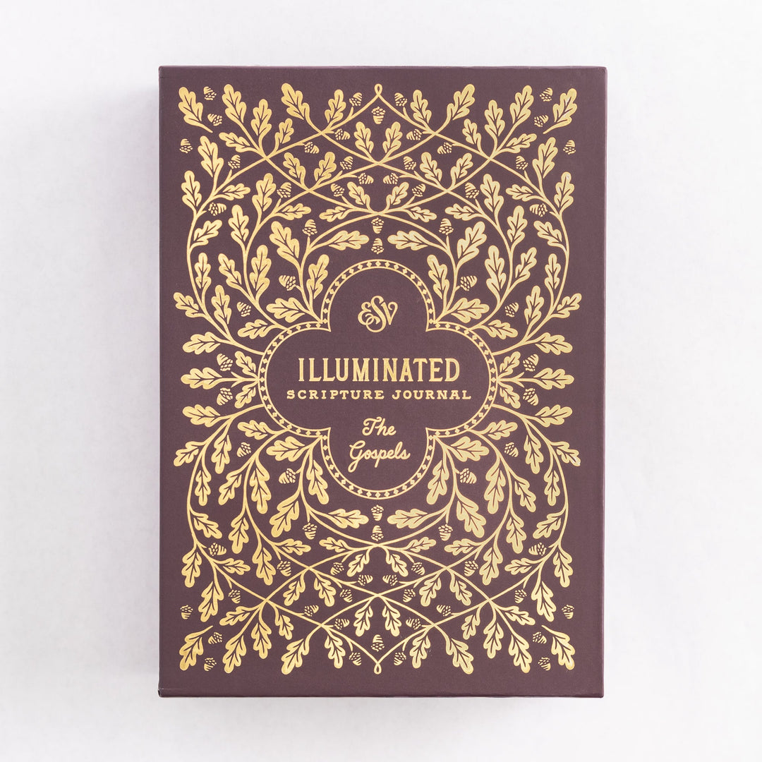 ESV Illuminated Scripture Journal: Gospels Set
