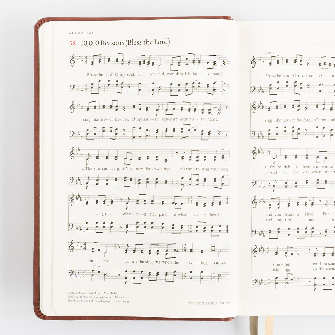 The Sing Hymnal, TruTone over Board, Brown