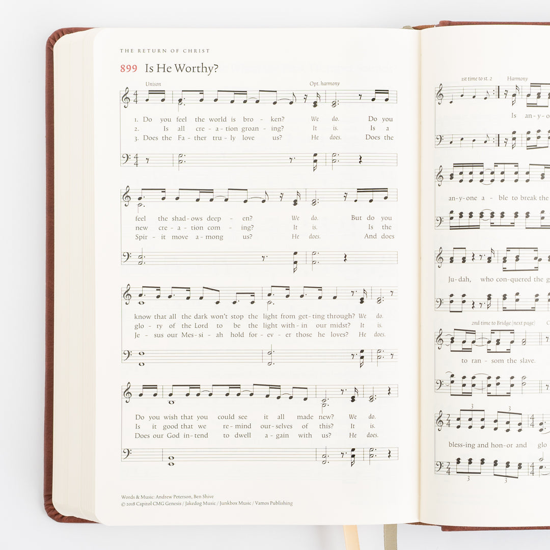 The Sing Hymnal, TruTone over Board, Brown