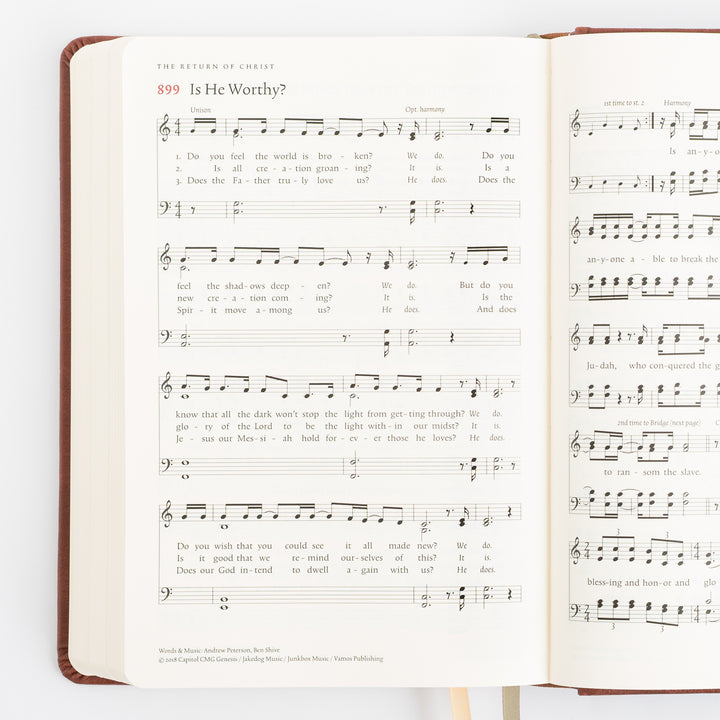 The Sing Hymnal, TruTone over Board, Brown