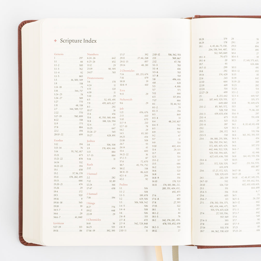 The Sing Hymnal, TruTone over Board, Brown