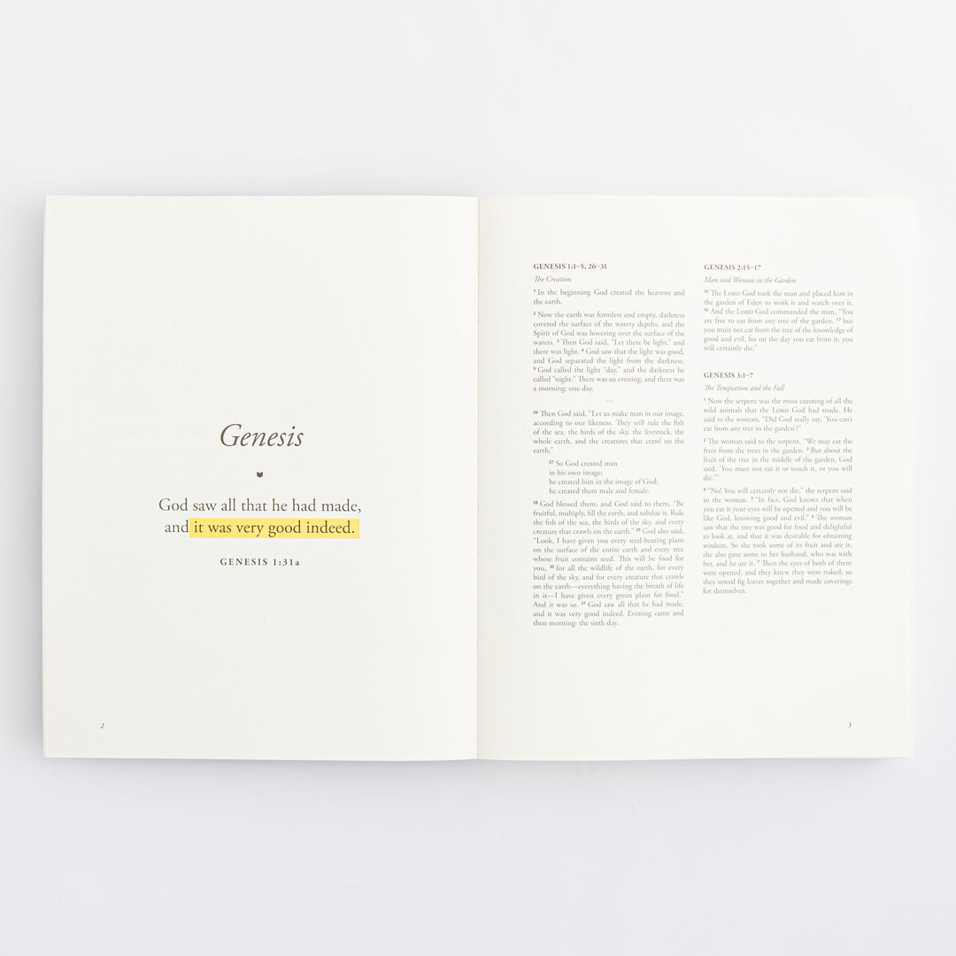 The Bible Is for You - A Devotional Journal Through the Bible