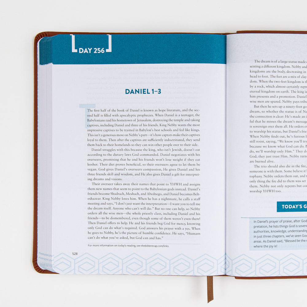 Open interior spread of The Bible Recap Deluxe Edition at Day 256, headed 'Daniel 1-3' beneath a teal date tab on the left page, with devotional commentary set in a drop-cap paragraph. The facing right page continues the reading in plain paragraph text, and a brown ribbon bookmark hangs from the bottom of the binding; the visible page number is 528.