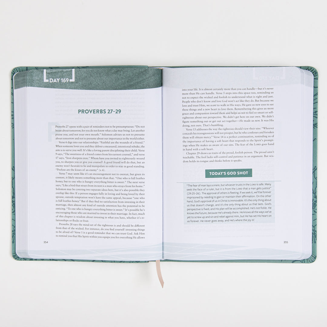 Interior spread of The Bible Recap Deluxe Edition open to Day 169, covering Proverbs 27-29, with a shaded "Today&