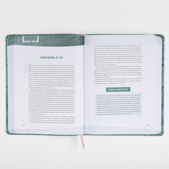 Interior spread of The Bible Recap Deluxe Edition open to Day 169, covering Proverbs 27-29, with a shaded "Today&