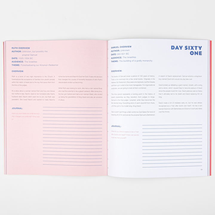 Interior spread of The Bible Study: Youth Edition open to a two-page devotional layout. The left, pink page is a Ruth Overview with author, date, audience, and theme details plus a journal section with blank lines. The right, white page is headed Day Sixty One with a Samuel Overview and its own journal prompt and lines.