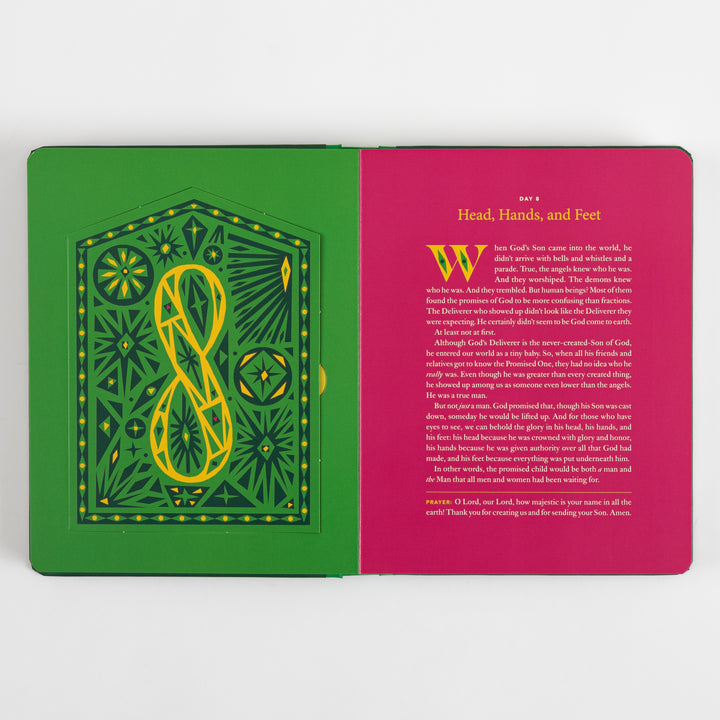The Biggest Story Advent - 25 Lift-the-Flap Devotions for Families