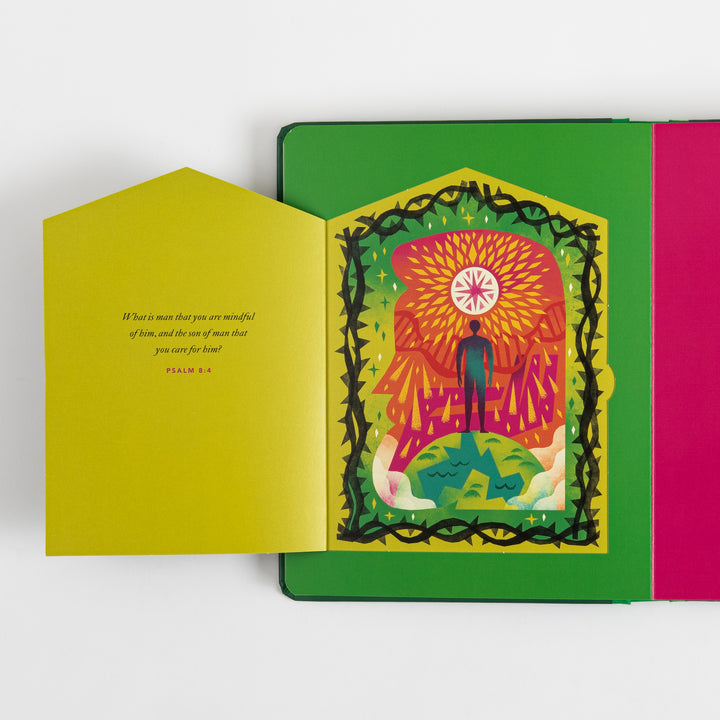 The Biggest Story Advent - 25 Lift-the-Flap Devotions for Families