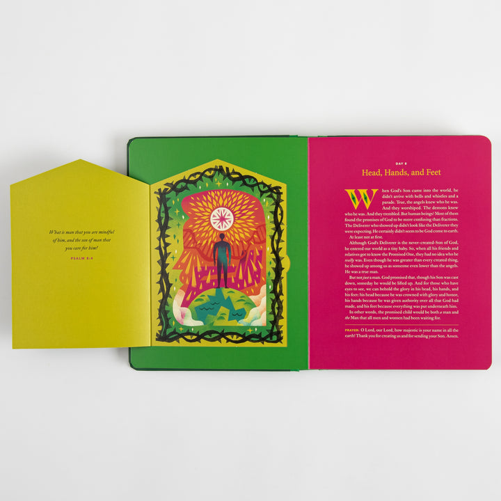 The Biggest Story Advent - 25 Lift-the-Flap Devotions for Families