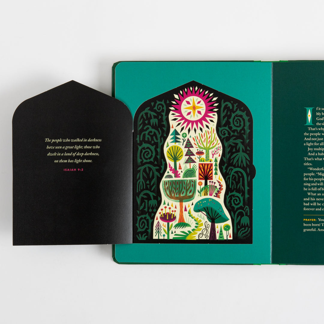 The Biggest Story Advent - 25 Lift-the-Flap Devotions for Families