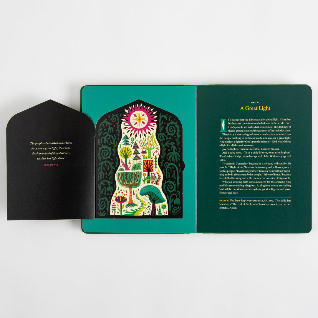 The Biggest Story Advent - 25 Lift-the-Flap Devotions for Families