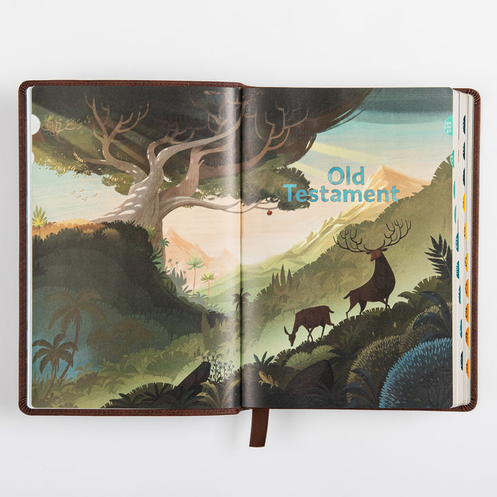 The Discovery Bible Faux Leather Brown