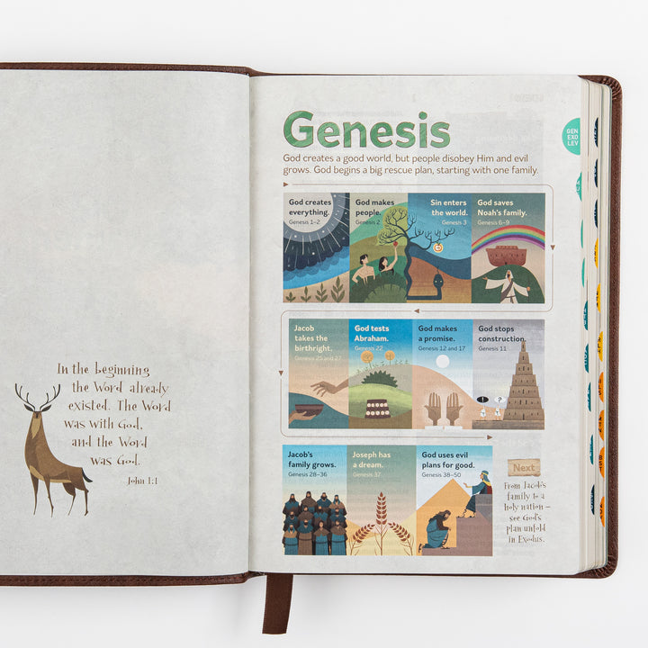 The Discovery Bible Faux Leather Brown