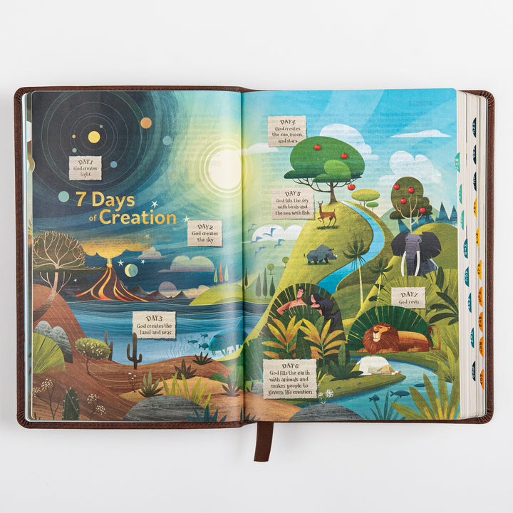 The Discovery Bible Faux Leather Brown