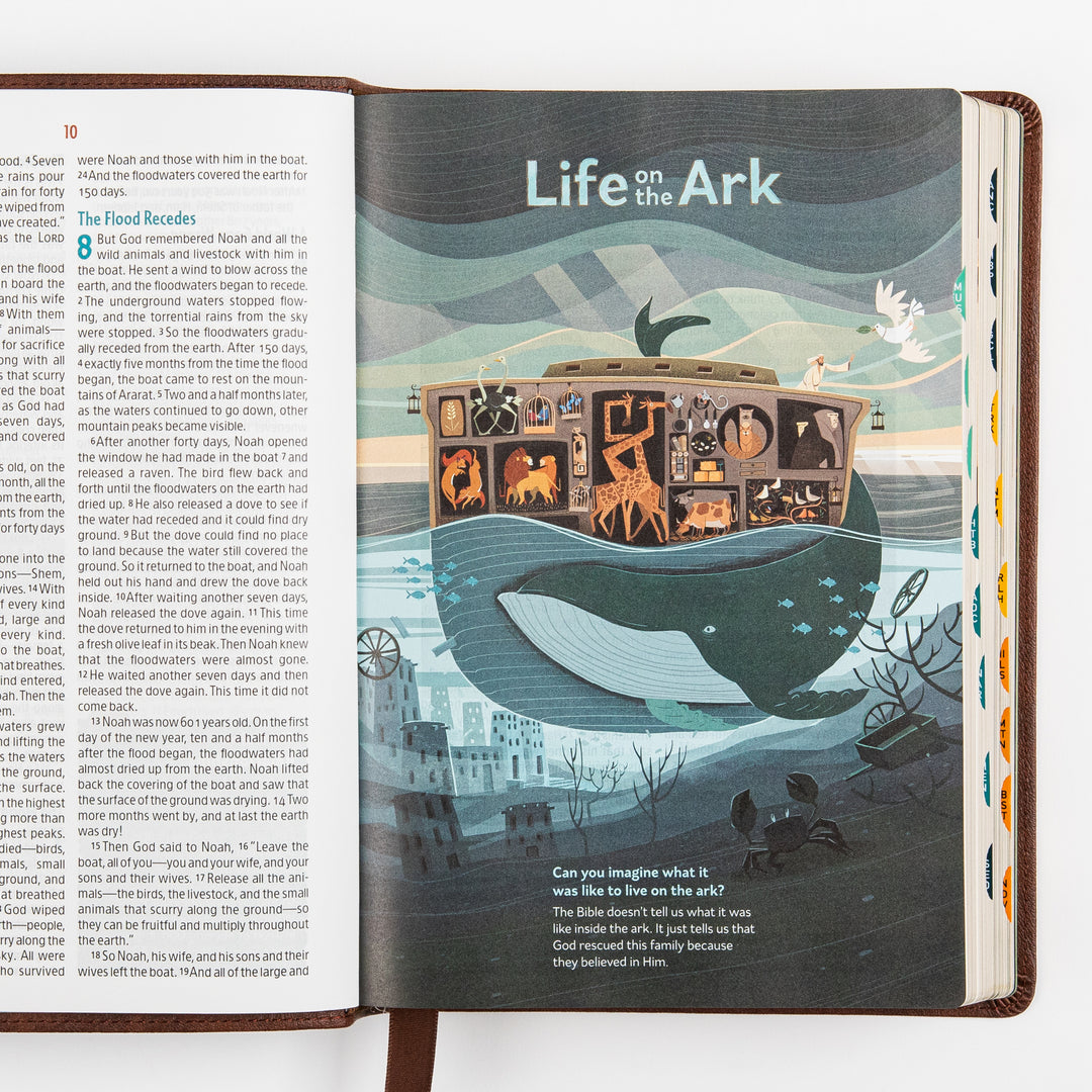 The Discovery Bible Faux Leather Brown