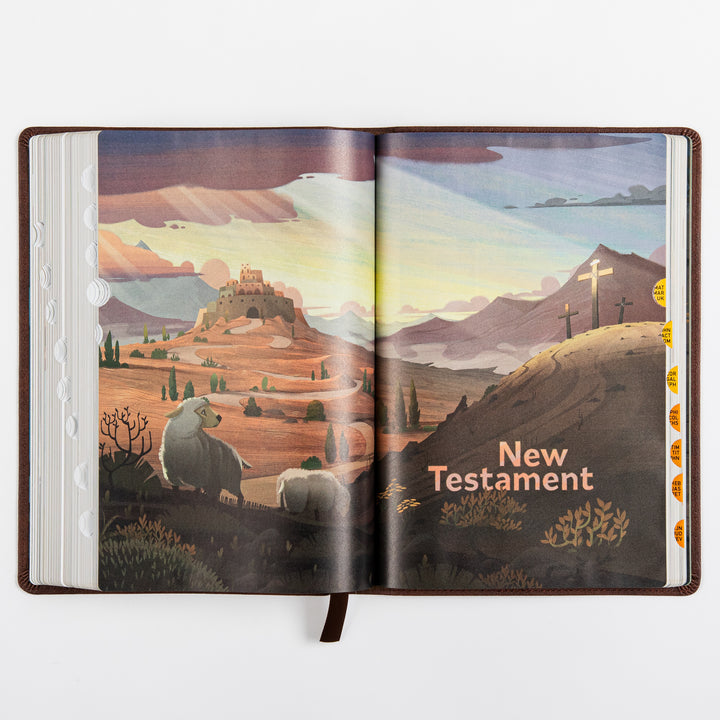 The Discovery Bible Faux Leather Brown