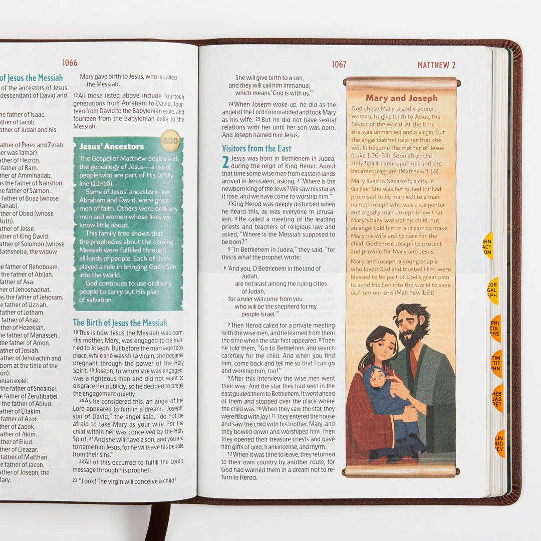 The Discovery Bible Faux Leather Brown