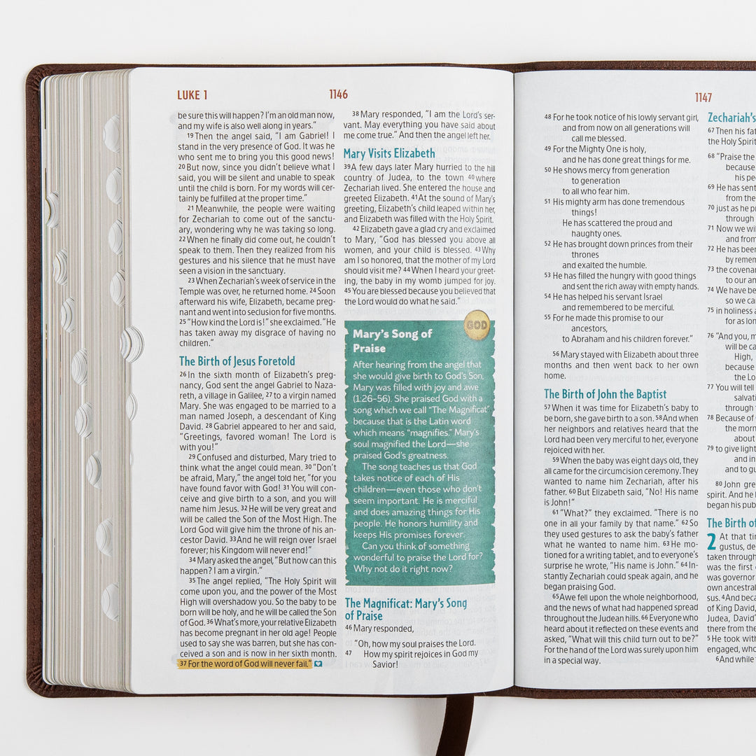 The Discovery Bible Faux Leather Brown