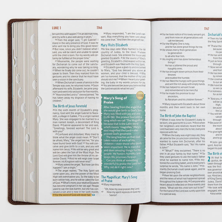 The Discovery Bible Faux Leather Brown