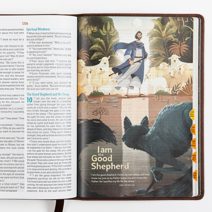 The Discovery Bible Faux Leather Brown