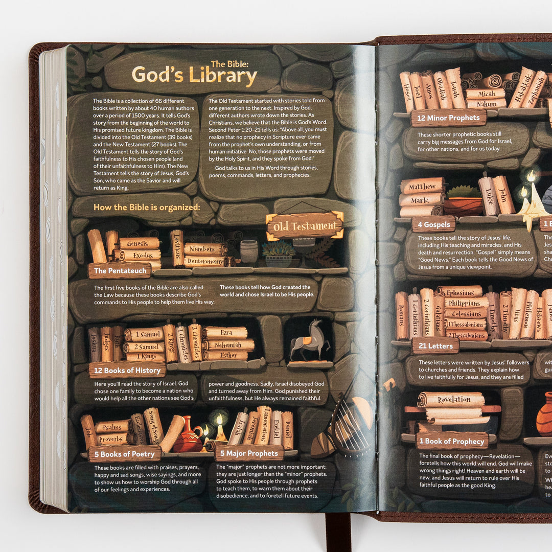 The Discovery Bible Faux Leather Brown