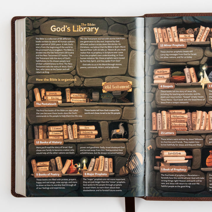 The Discovery Bible Faux Leather Brown