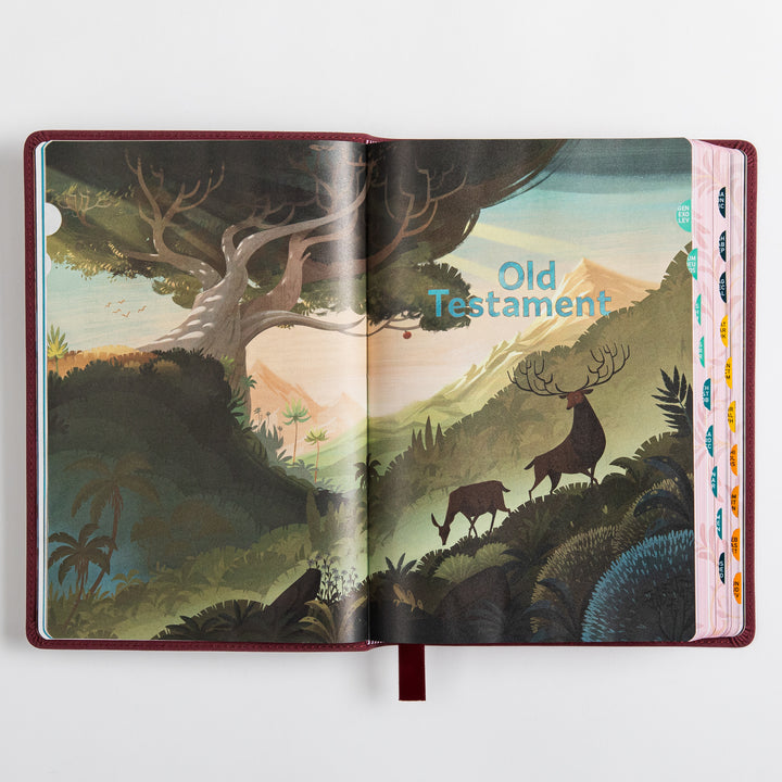 The Discovery Bible Faux Leather Purple