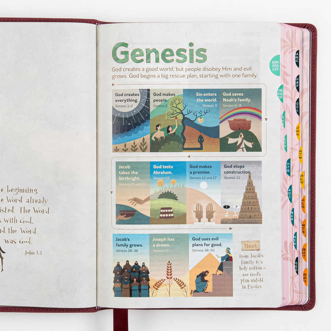 The Discovery Bible Faux Leather Purple