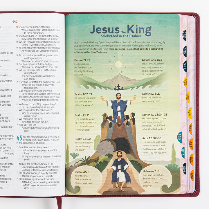 The Discovery Bible Faux Leather Purple