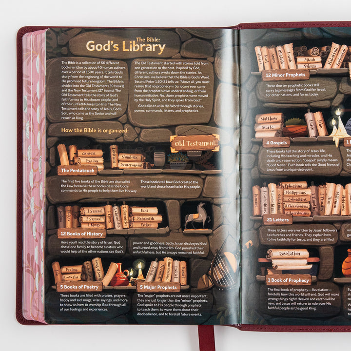 The Discovery Bible Faux Leather Purple