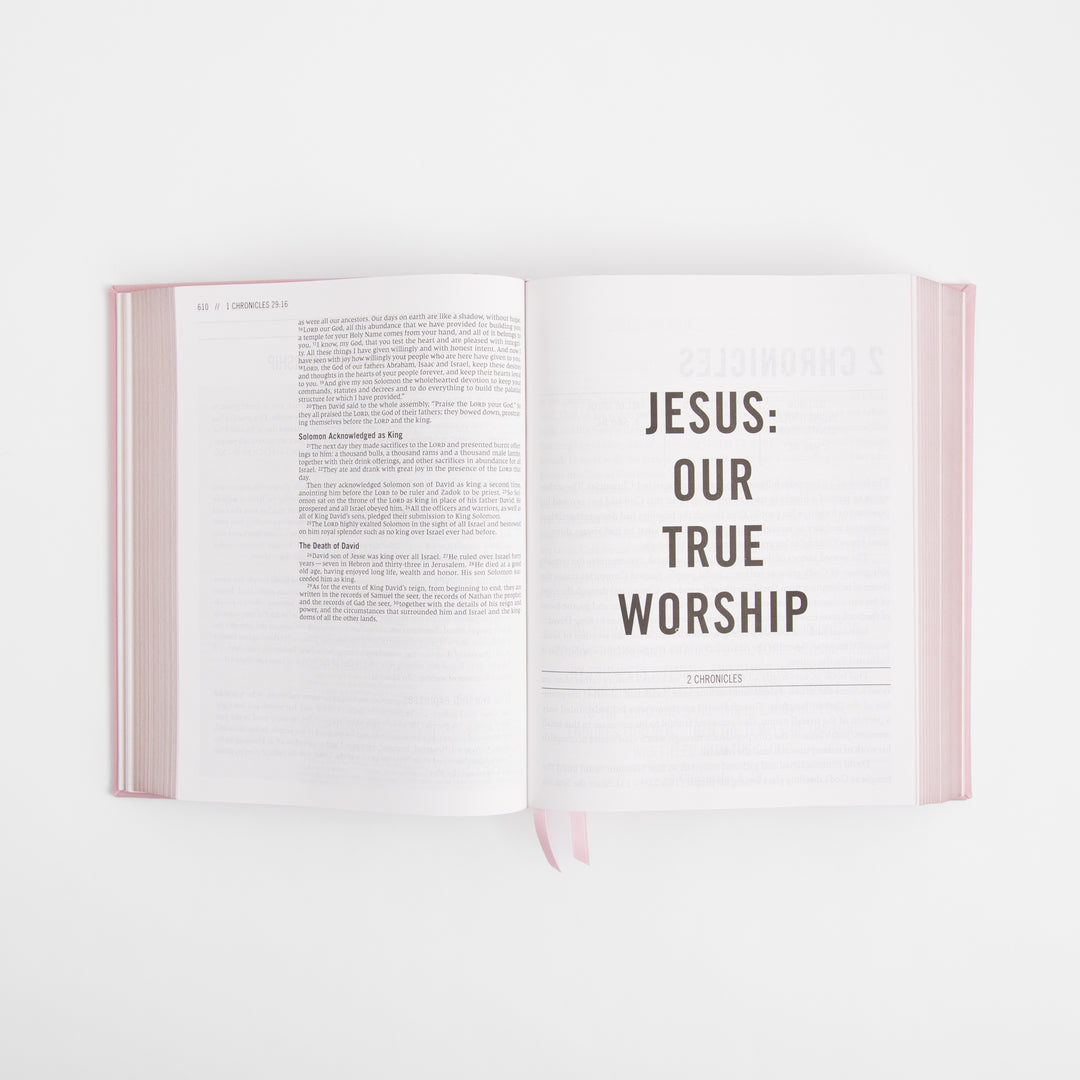 NIV The Jesus Bible - Leathersoft over board - Pink / Blush