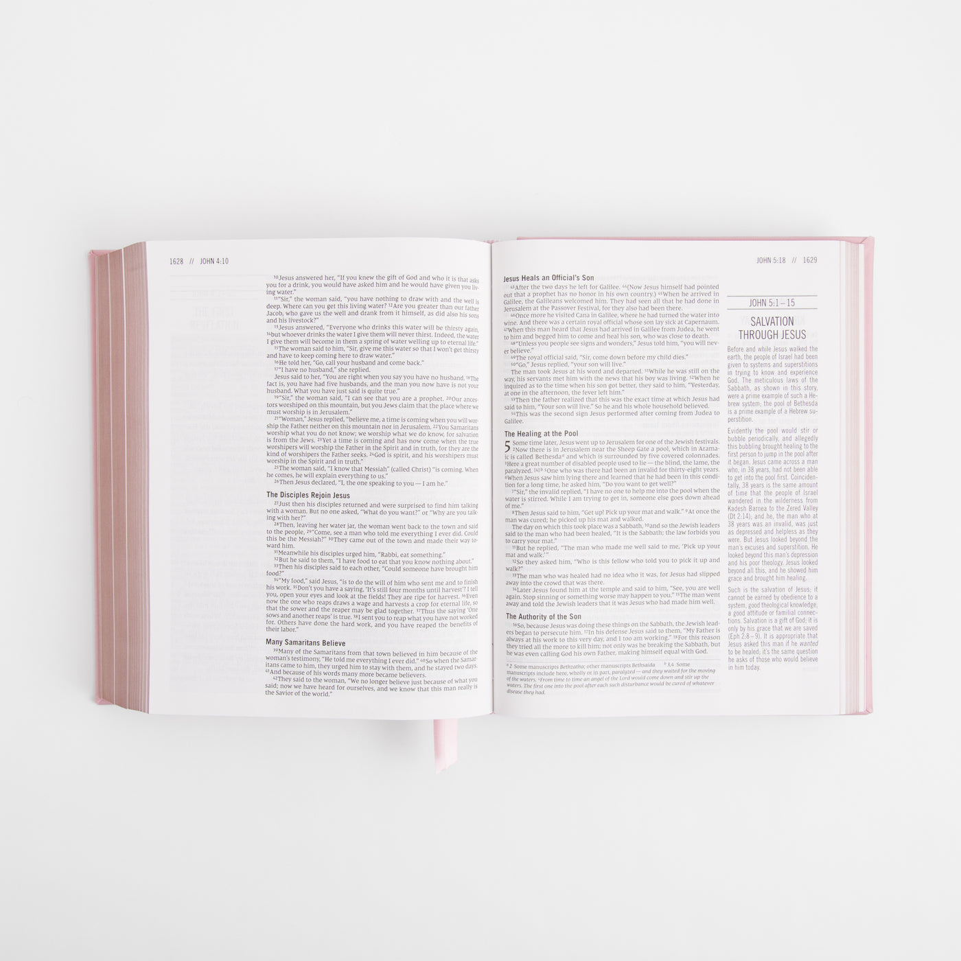 NIV The Jesus Bible - Leathersoft over board - Pink / Blush